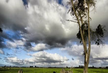 开云体育登录-潘帕斯风暴席卷英超！阿根廷补时绝杀巴萨引爆积分榜地震