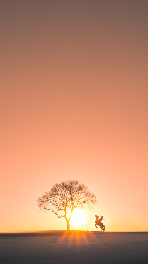 伊布节奏，当奥地利淘汰赛成为阿根廷的终极考题